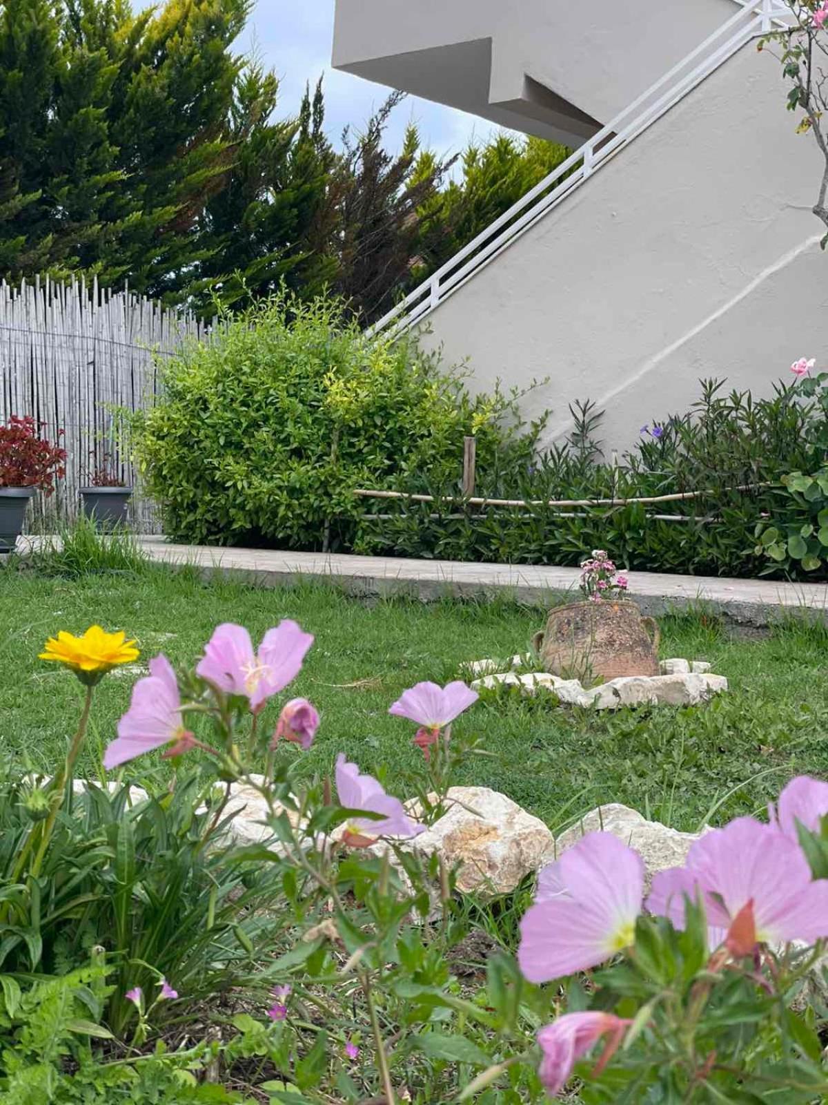 סידריון Aspasia Apartments מראה חיצוני תמונה